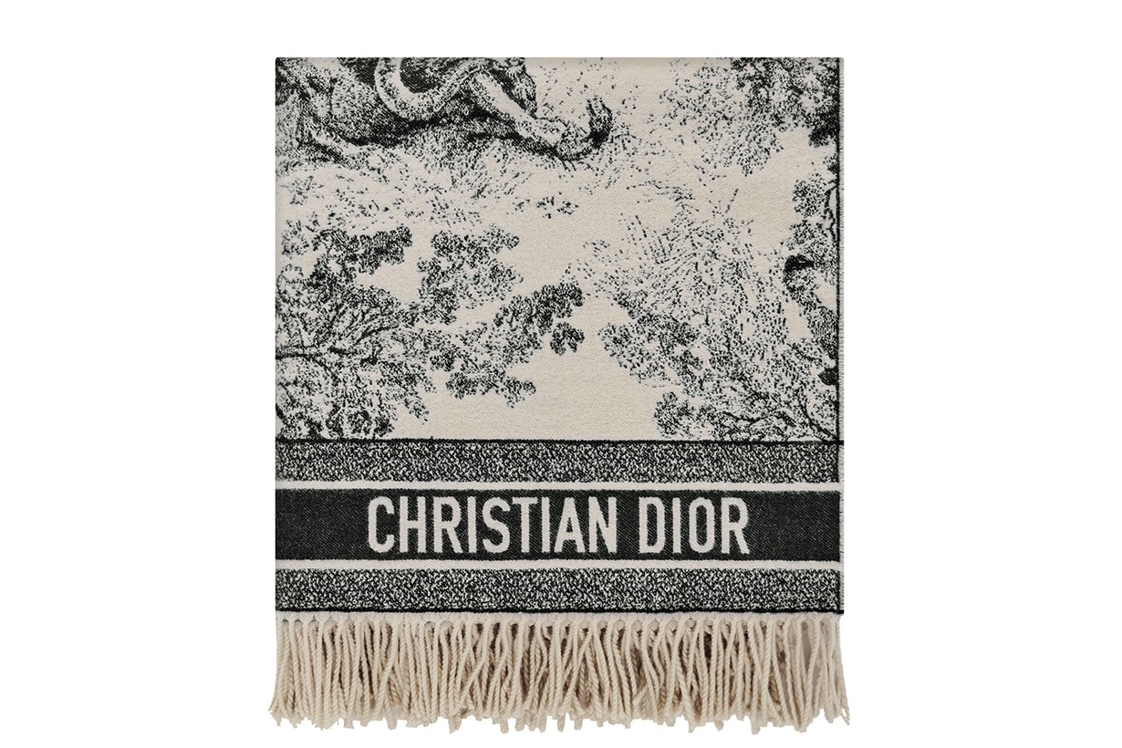 Dior Book Tote bag Cruise 2019 Collection