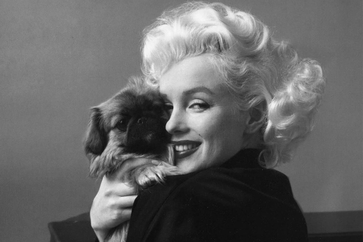 Facts About Marilyn Monroe Dog