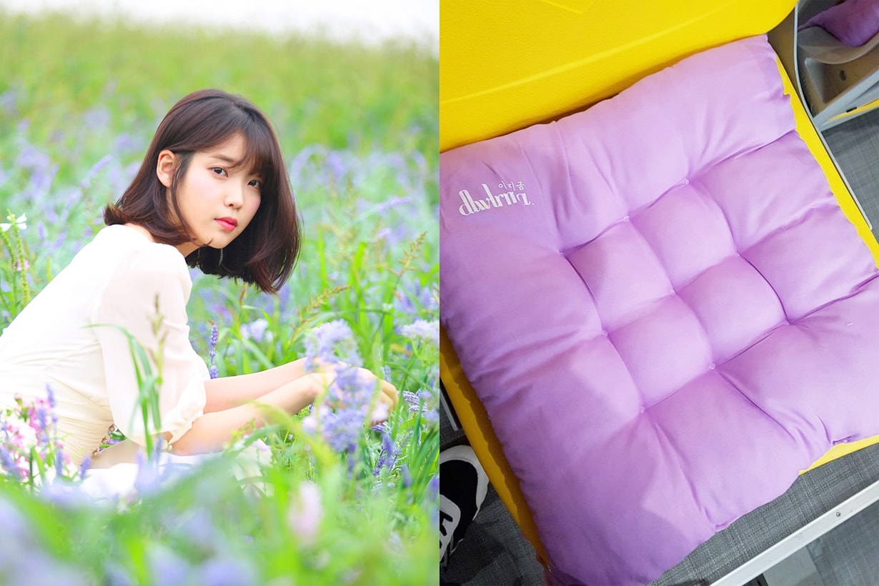 IU Lee Ji Eun 2018 IU 10th anniversary tour concert dlwlrma IU mother concert souvenir gift purple cushion k pop korean idol singer celebrities