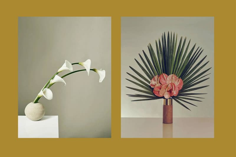 Meta Flora