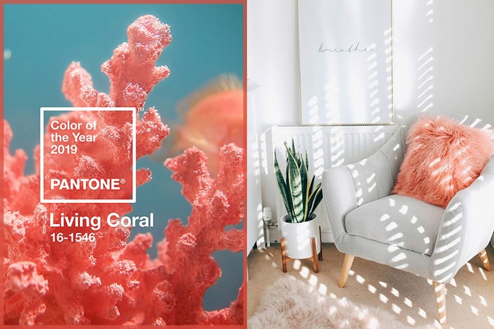 精選 10 件 Pantone 流行色家品，為家居注入一抹「珊瑚橘」暖意！