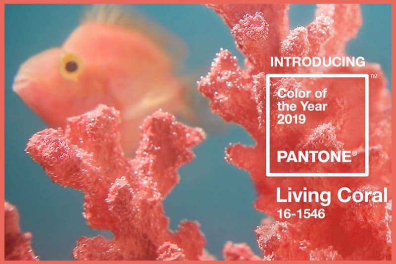 Pantone 2019 color of the year living coral