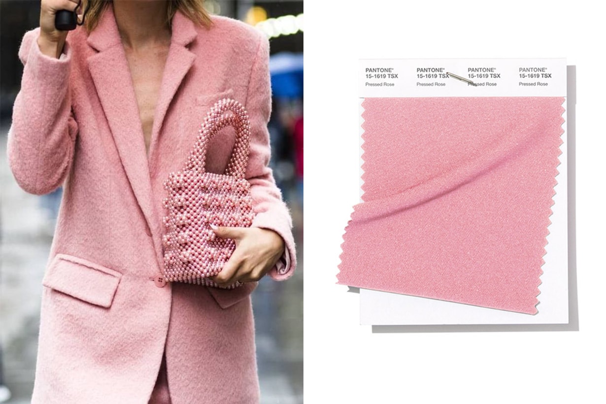 Pantone 2019 Pressed-Rose Street Style
