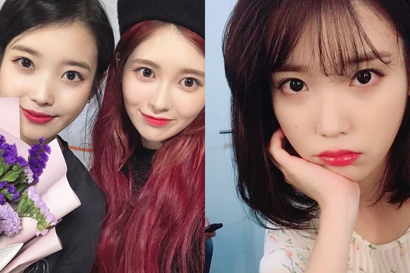 IU Lee Ji Eun Dia Baek Ye bin Haters netizens K Pop korean idols celebrities singers comments