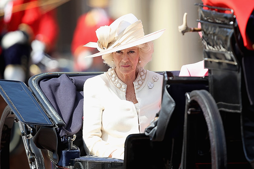 British Queen selection Prince Charles Camilla Royal Family