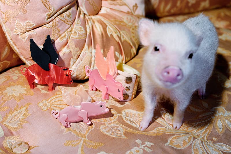 Gucci-Chinese-New-Year-Pig-lookbook