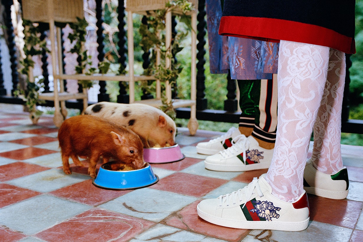 Gucci-Chinese-New-Year-Pig-lookbook