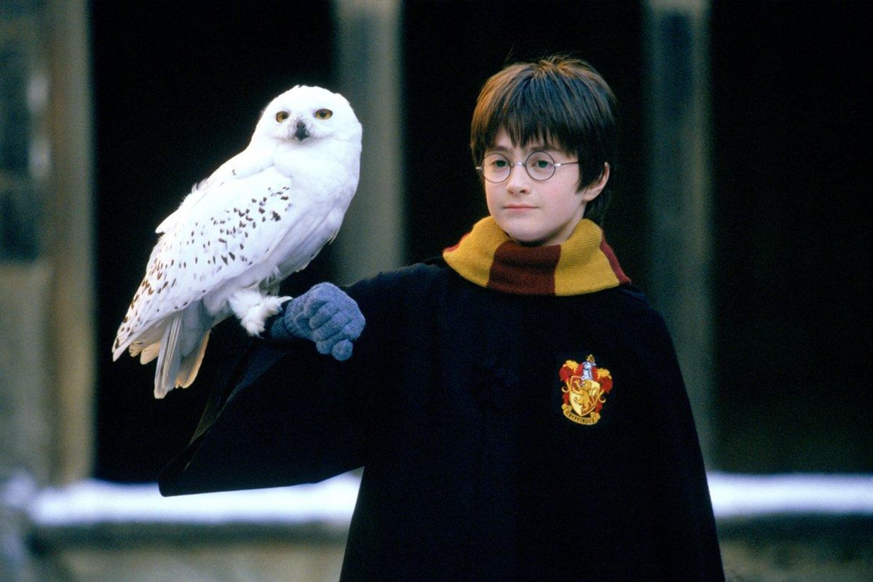 Harry Potter Owl