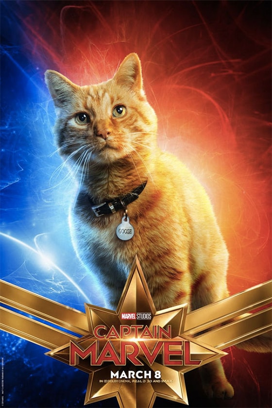 captain marvel character posters Doctor Minerva Gemma Chan Cat Goose