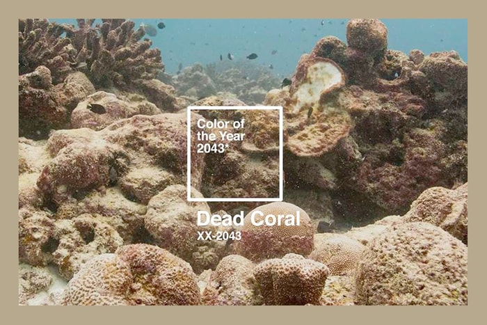 這才是地球現在的模樣：提前發表 2043 年 Color of The Year 「死珊瑚」