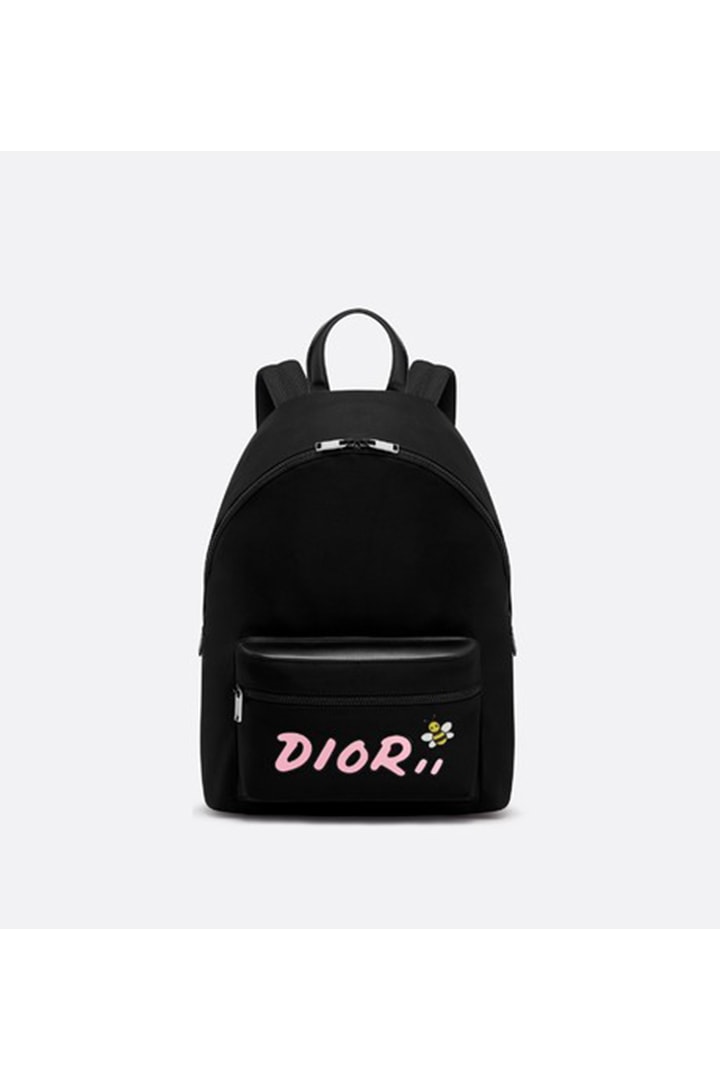 Dior X Kaws Collection Bag