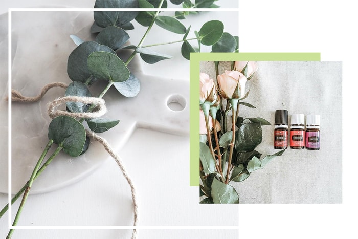 天冷有點傷寒嗎?這 9 種精油能夠有效舒緩你的感冒症狀