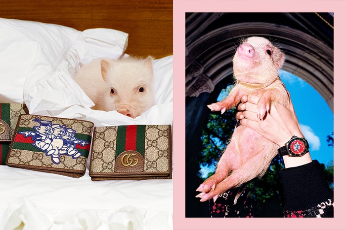 Gucci 推出小豬嘜別注產品,你最想要的新年系列一定是這個!