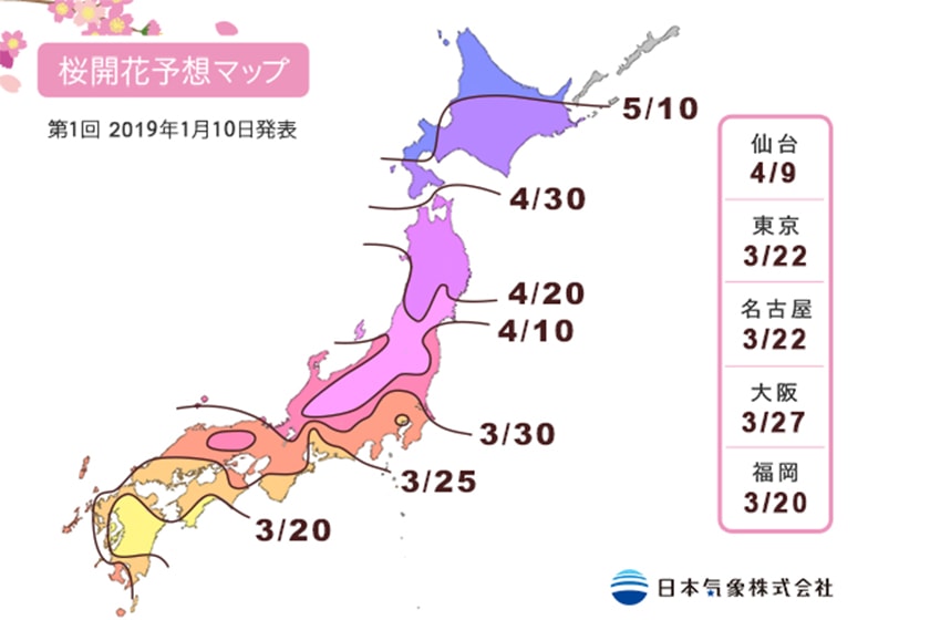 japan sakura prediction travel