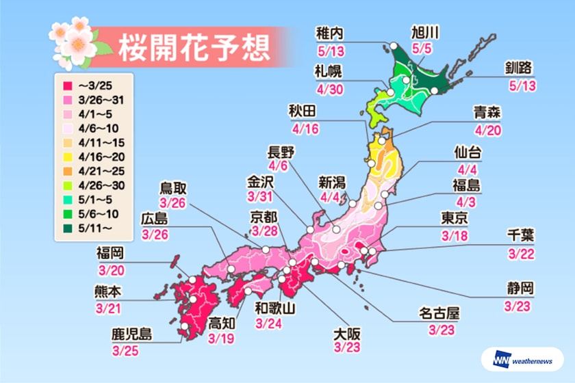 japan sakura prediction travel
