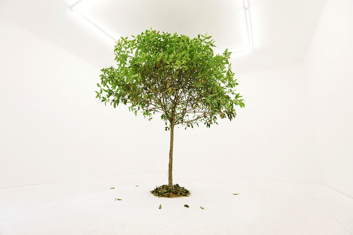 john yuyi taipei dangdai art i tree to call you expo ideas