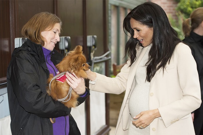 梅根當眾被稱呼「Fat Lady」,大方又不失幽默的回應獲網民力讚!