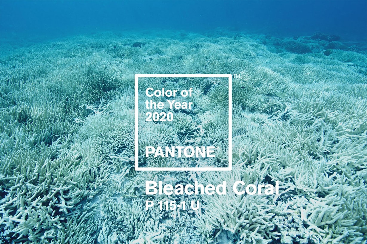 Pantone Colour 2020 Bleached Coral
