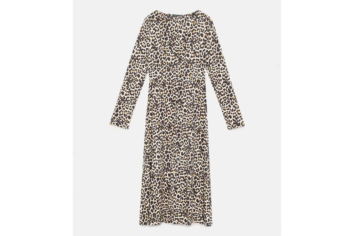 Zara Animal Print Dress