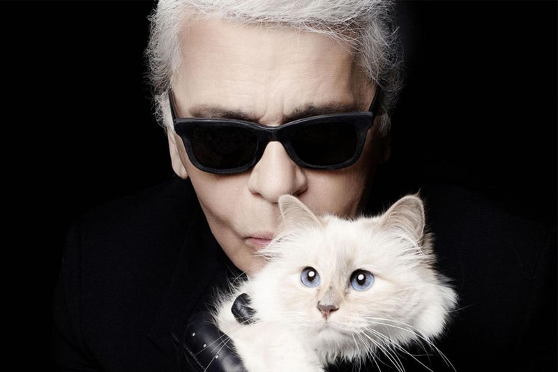 Karl-Lagerfeld-Choupette-Cat