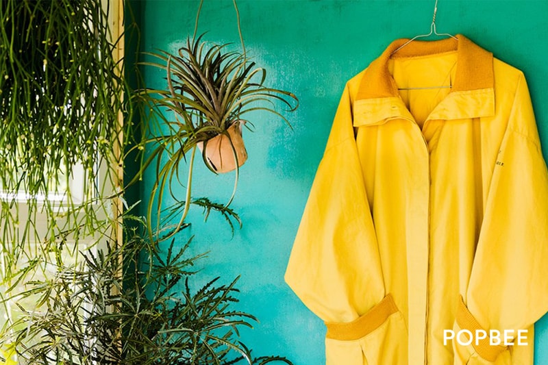 Mr.Cardigan Plant House in Tai Po