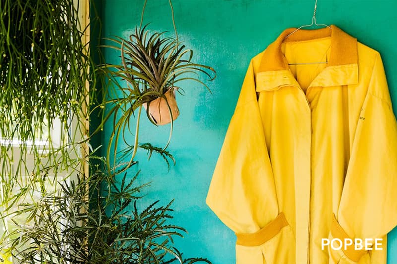 Mr.Cardigan Plant House in Tai Po