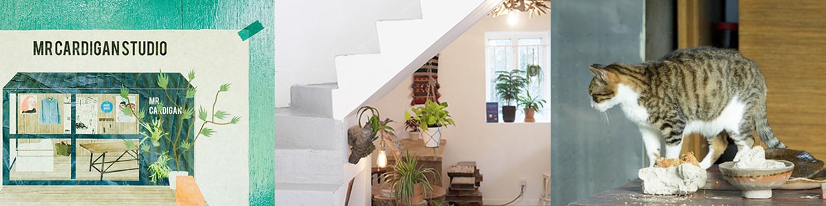 relaxing-places-in-hong-kong-toyau-wahshan-pimary-mr-cardigan-plant-house