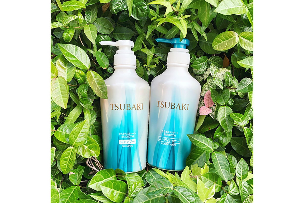 tsubaki botanical line