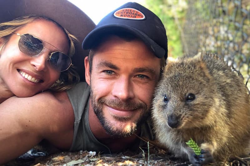 Chris Hemswort Quokkas selfie