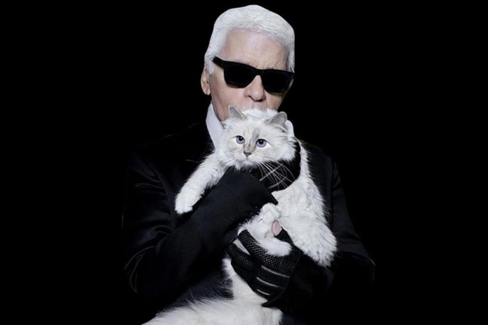 究竟給誰?律師表示: Karl Lagerfeld 的愛貓不能繼承 $2.37 億美元遺產!