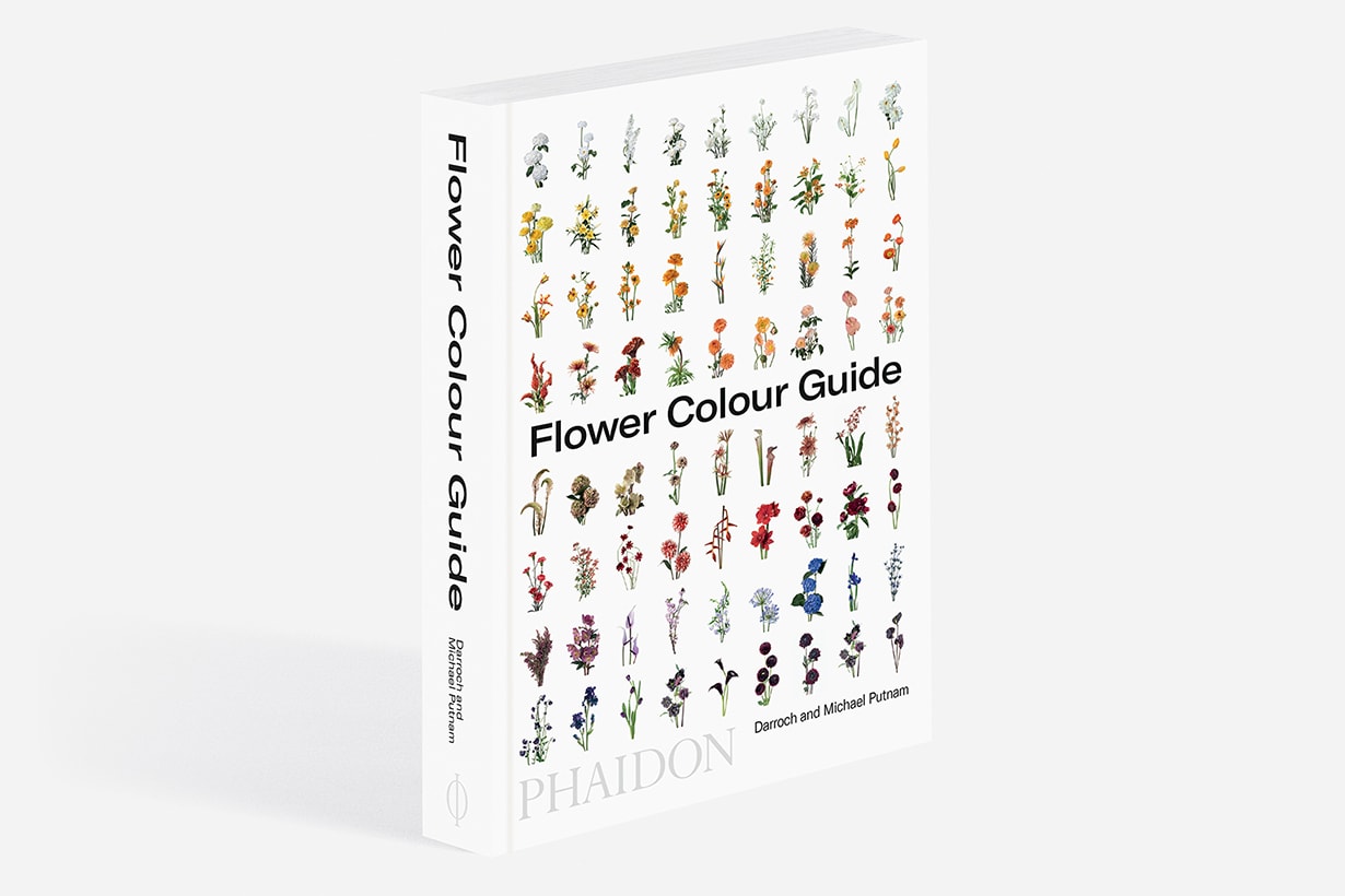 flower-colour-guide