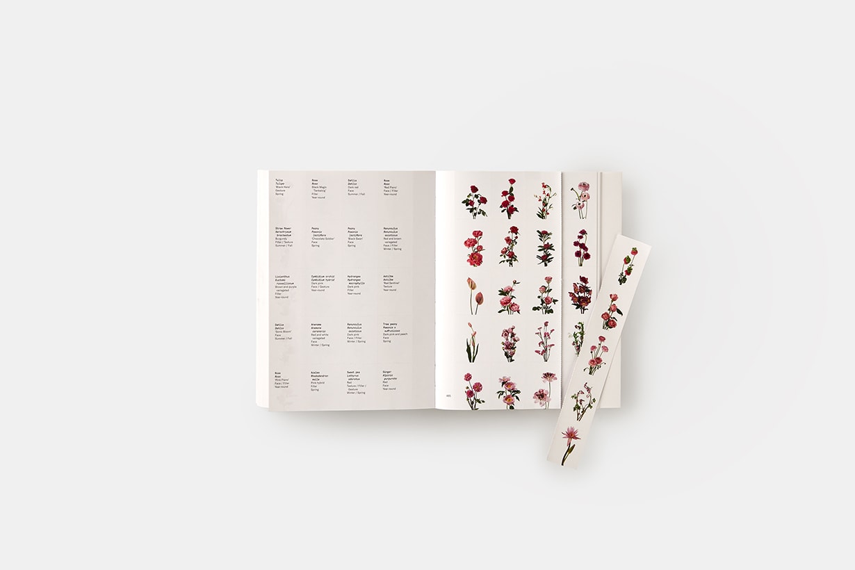 flower-colour-guide