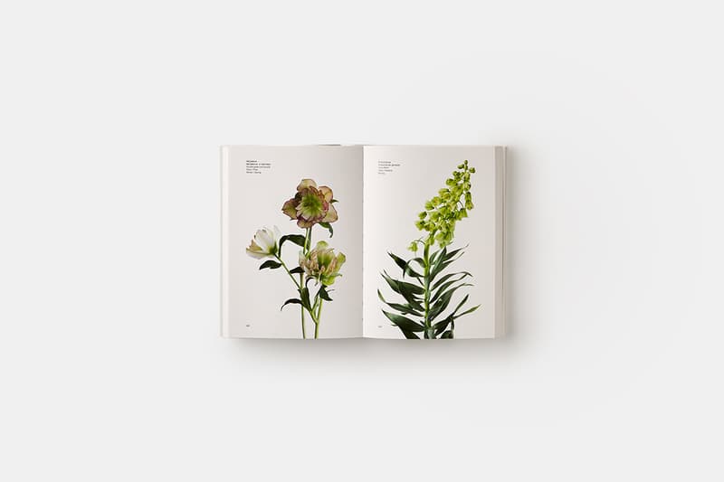 flower-colour-guide