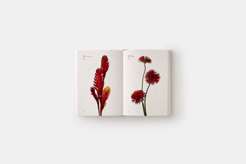 flower-colour-guide