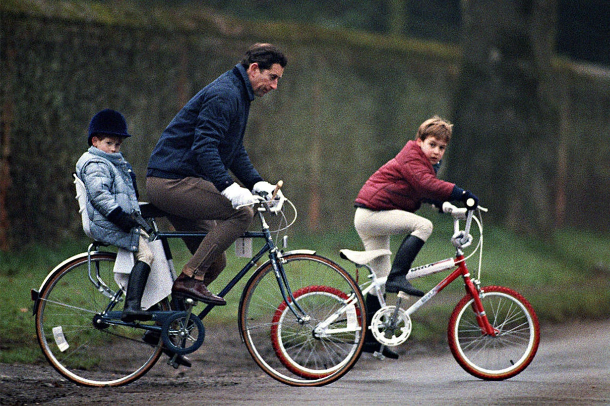 prince charles with prince william and prince harry