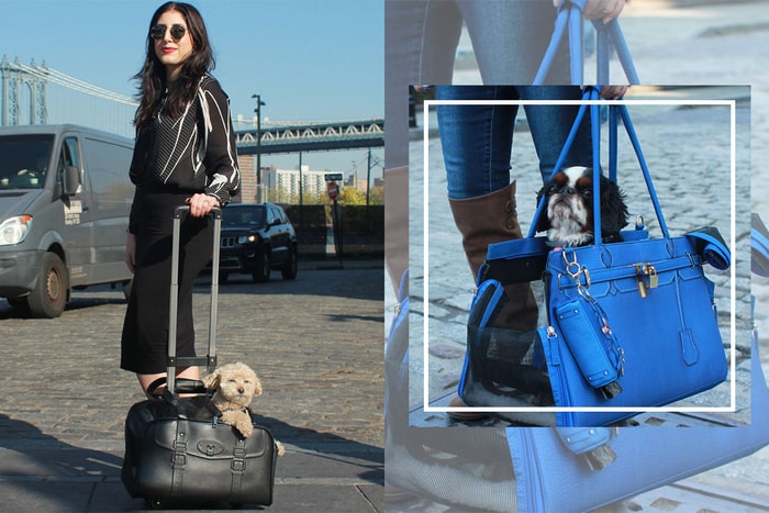 這個名牌手袋的主人竟是「牠」?袋款設計精緻時尚,高質程度令人難辨真假!