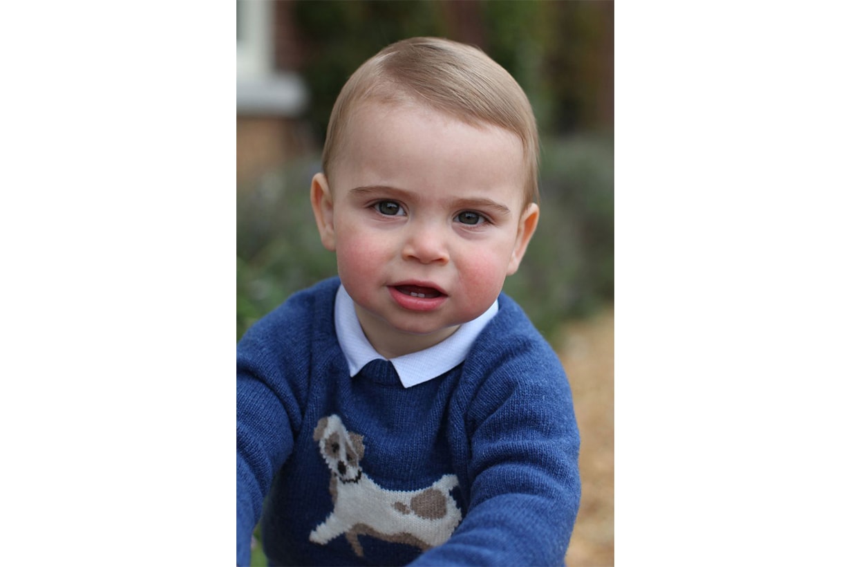 Prince Louis Birthday Photo Dog Sweater