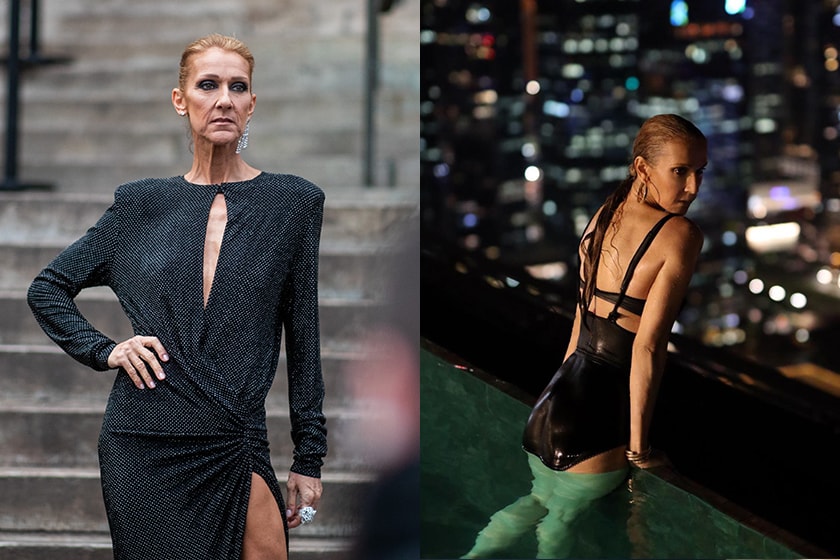 Celine Dion is an ambassador for L'Oréal Paris