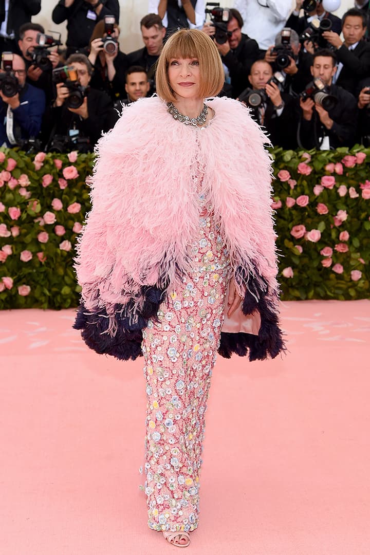 Met Gala 2019 Red Carpet Look Anna Wintour