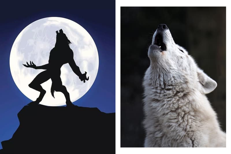 Werewolf Mafia killer party game Dmitry Davidoff game background history