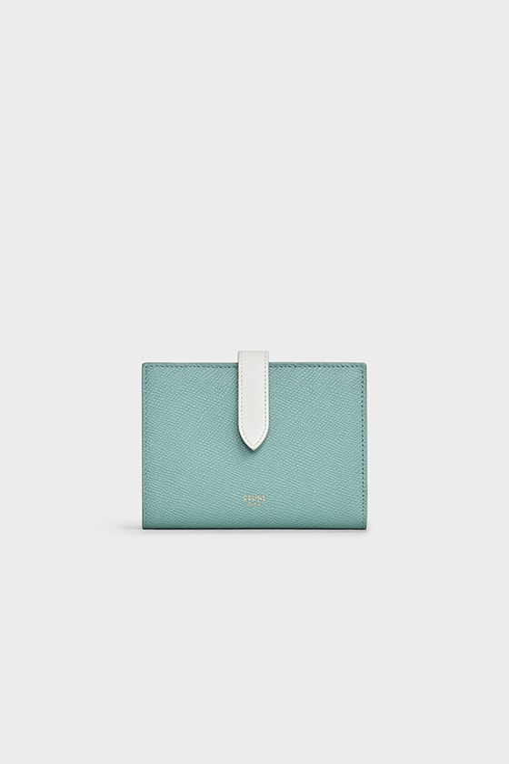 celine hedi slimane handbags 16 celadon new color