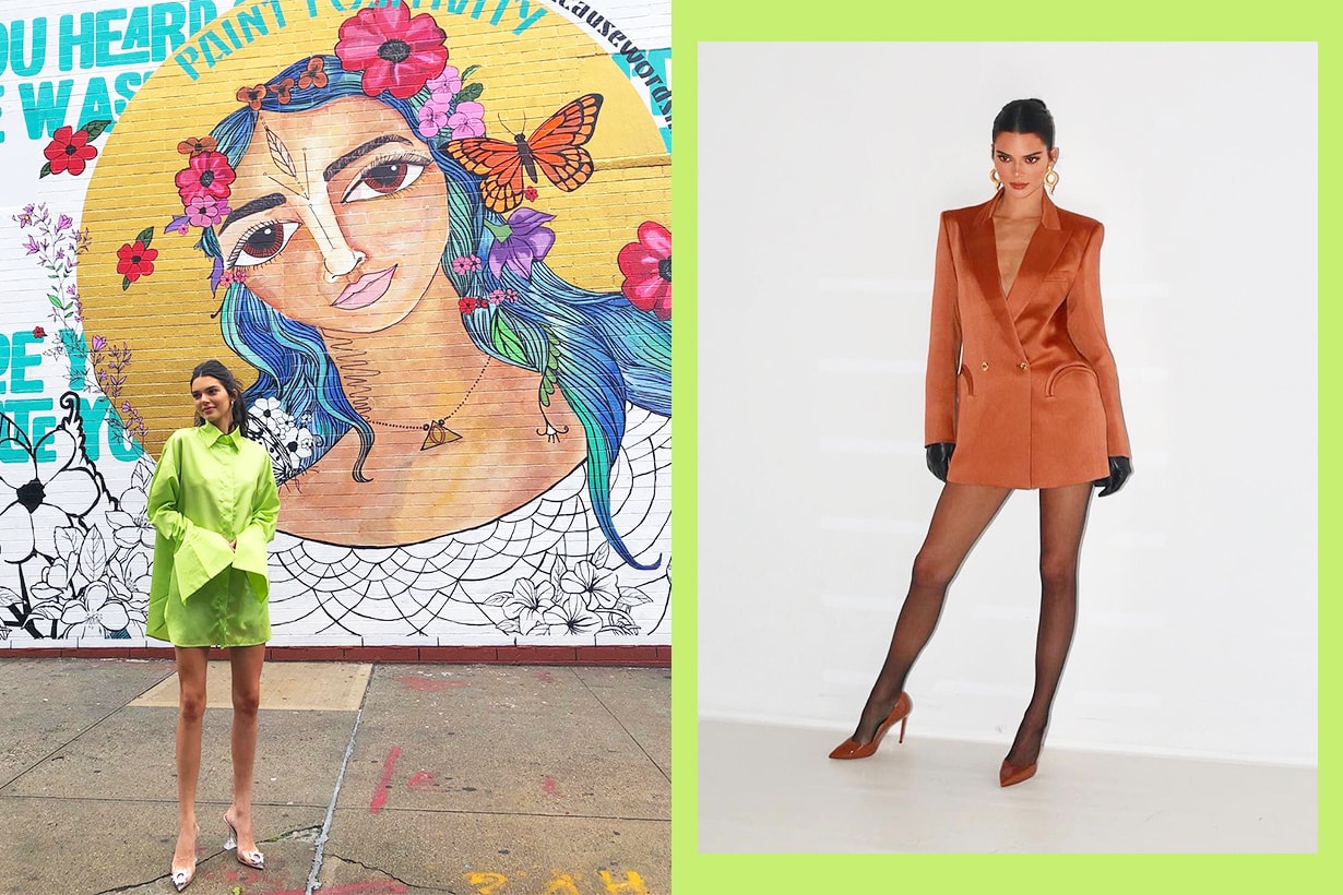 Kendall Jenner Reformation leopard print mini dress street style street snap trending dress