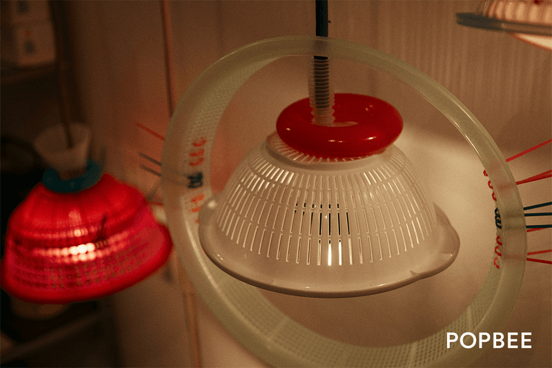 Foreforehead in Sham Shui Po Hong Kong