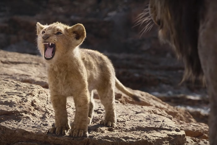 誤會大了！《獅子王》一開首這幾句非洲語並不止「獅子來了」這麼簡單！