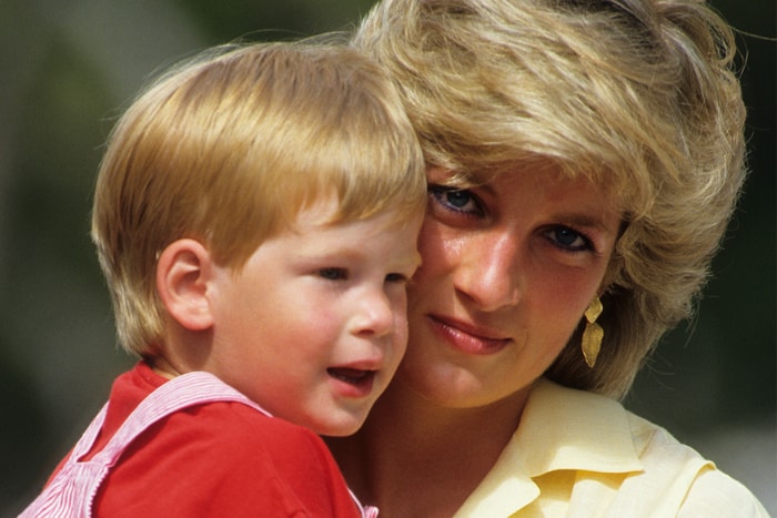 30 年後哈利王子重遊母親探訪地， 看到戴安娜王妃照片後做出貼心之舉