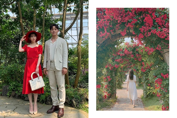 酒店大門、玫瑰花園、沙灘場景原來在這:收集《德魯納酒店》中的熱門打卡點!