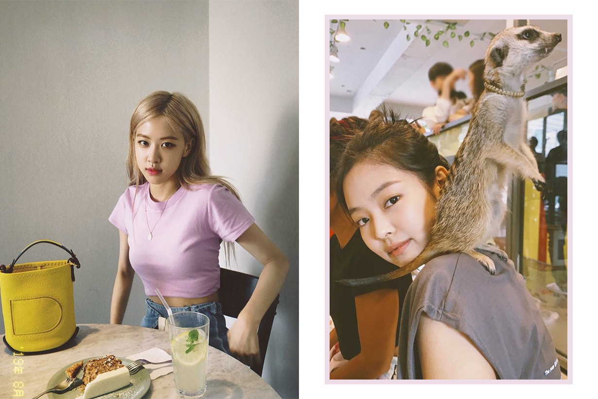 BLACKPINK Jennie Rose Lisa Jisoo Meerkat Cafe Timon Lion King korea seoul hongdae travel spots k pop korean idols celebrities singers girl bands