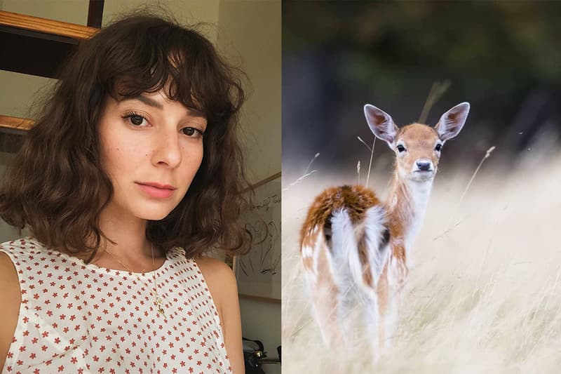 Deer Milk skincare beauty ingredients New Zealand beauty brand kōtia antioxidants essential minerals vitamins