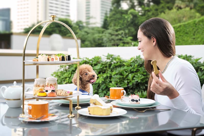 murray dog friendly afternoon tea