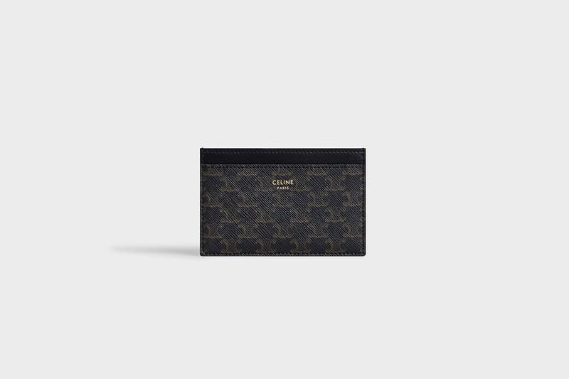 celine triomphe canvas handbags